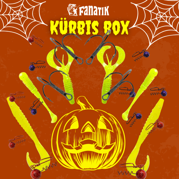 FANATIK KÜRBIS BOX